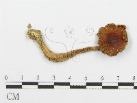 登錄號:F0004840藏品圖，第1張