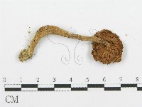 登錄號:F0004840藏品圖，第3張