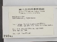 登錄號:F0004841藏品圖，第2張