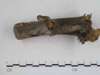 登錄號:F0004841藏品圖，第4張