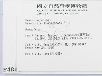 紅菇屬藏品圖，第2張