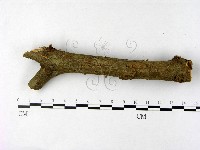 登錄號:F0004847藏品圖，第1張