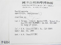 鬼傘屬藏品圖，第2張