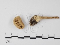 登錄號:F0004849藏品圖，第4張