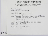 乳菇屬藏品圖，第2張