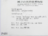 登錄號:F0004851藏品圖，第2張