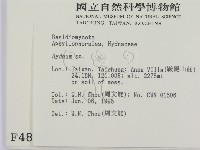 齒菌屬藏品圖，第2張