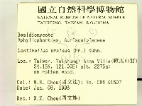 登錄號:F0004854藏品圖，第2張