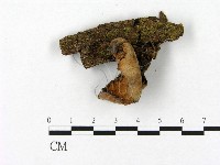 登錄號:F0004854藏品圖，第1張