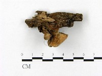 登錄號:F0004854藏品圖，第3張