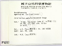 登錄號:F0004855藏品圖，第2張