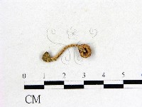 登錄號:F0004855藏品圖，第3張