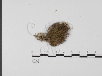 登錄號:F0004857藏品圖，第1張