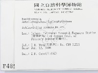 裂褶菌藏品圖，第2張