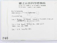 登錄號:F0004859藏品圖，第2張
