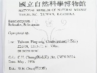登錄號:F0004861藏品圖，第2張