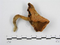 登錄號:F0004861藏品圖，第1張