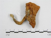 登錄號:F0004861藏品圖，第3張