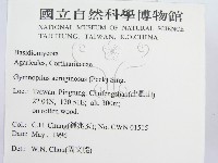 登錄號:F0004862藏品圖，第2張