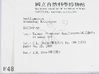 登錄號:F0004863藏品圖，第2張