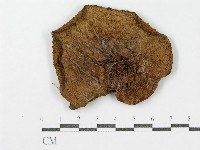 登錄號:F0004867藏品圖，第3張