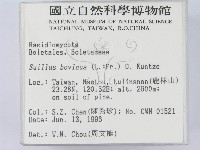 登錄號:F0004868藏品圖，第2張