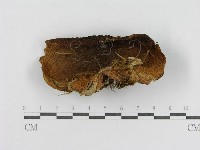 登錄號:F0004868藏品圖，第4張