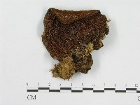 登錄號:F0004869藏品圖，第3張