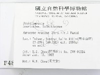 登錄號:F0004871藏品圖，第2張