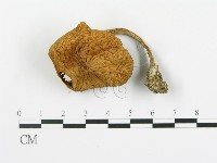 登錄號:F0004871藏品圖，第3張