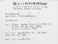 登錄號:F0004872藏品圖，第2張