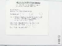 登錄號:F0004872藏品圖，第3張