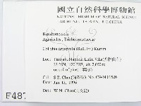 登錄號:F0004873藏品圖，第2張