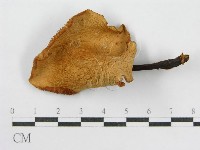 登錄號:F0004873藏品圖，第3張