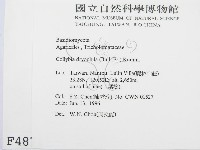 登錄號:F0004874藏品圖，第2張