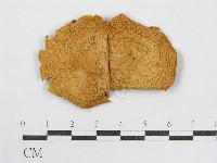 登錄號:F0004874藏品圖，第3張