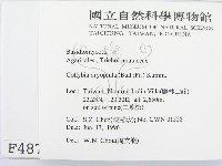 登錄號:F0004875藏品圖，第2張