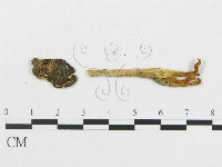 登錄號:F0004876藏品圖，第1張