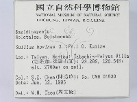 登錄號:F0004877藏品圖，第2張