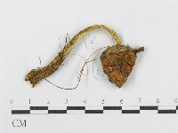 登錄號:F0004878藏品圖，第3張