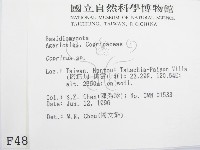 鬼傘屬藏品圖，第2張