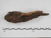 登錄號:F0004882藏品圖，第1張