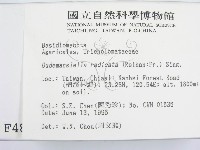 登錄號:F0004883藏品圖，第2張