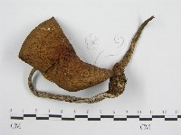 登錄號:F0004883藏品圖，第3張