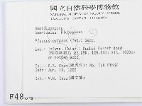 登錄號:F0004884藏品圖，第2張