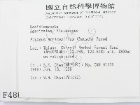 登錄號:F0004885藏品圖，第2張