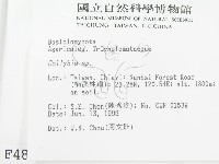 登錄號:F0004886藏品圖，第2張