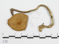 登錄號:F0004886藏品圖，第3張