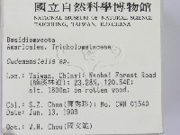 登錄號:F0004887藏品圖，第2張