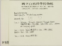 小菇屬藏品圖，第2張